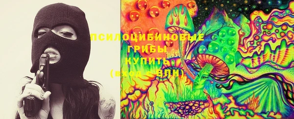 стаф Пестово