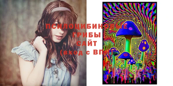 гидра Абдулино