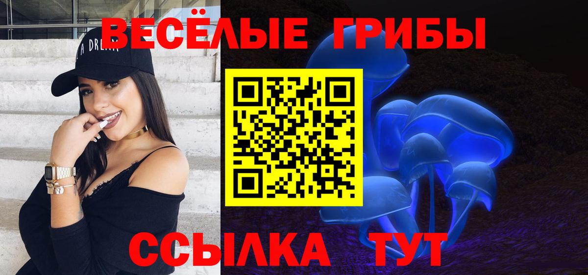 Псилоцибиновые грибы GOLDEN TEACHER  наркошоп  Котовск  Галлюциногенные грибы Magic Shrooms  Вход с VPN 