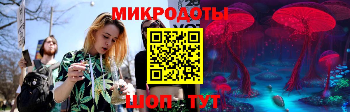 Галлюциногенные грибы Magic Shrooms Котовск
