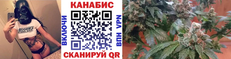 как найти   Котовск  Шишки марихуана тримм 